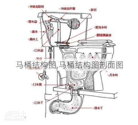 马桶结构图,马桶结构图剖面图