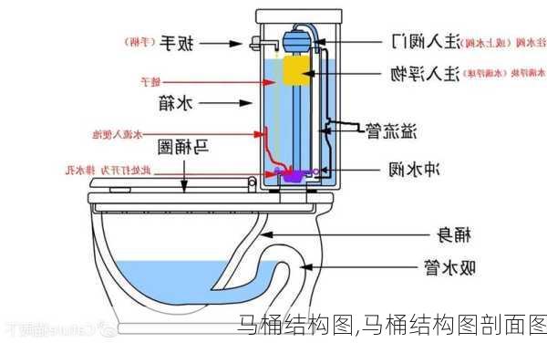 马桶结构图,马桶结构图剖面图-第2张图片-求稳装修网