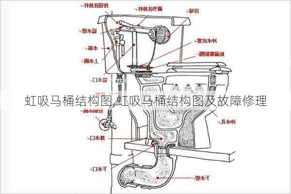 虹吸马桶结构图,虹吸马桶结构图及故障修理-第2张图片-求稳装修网