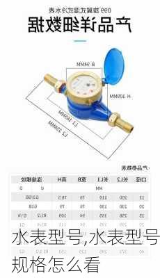 水表型号,水表型号规格怎么看-第2张图片-求稳装修网