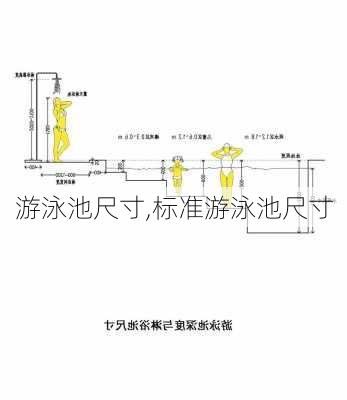 游泳池尺寸,标准游泳池尺寸-第2张图片-求稳装修网