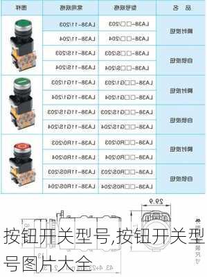 按钮开关型号,按钮开关型号图片大全-第1张图片-求稳装修网