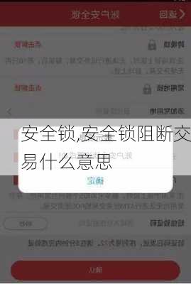 安全锁,安全锁阻断交易什么意思-第1张图片-求稳装修网